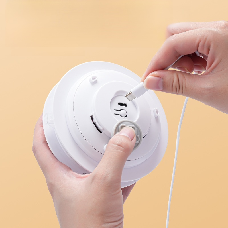 Interactive Cat Chase Toy