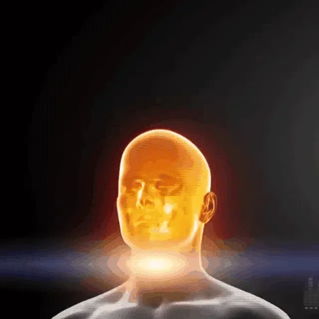 未标题-1_18.webp