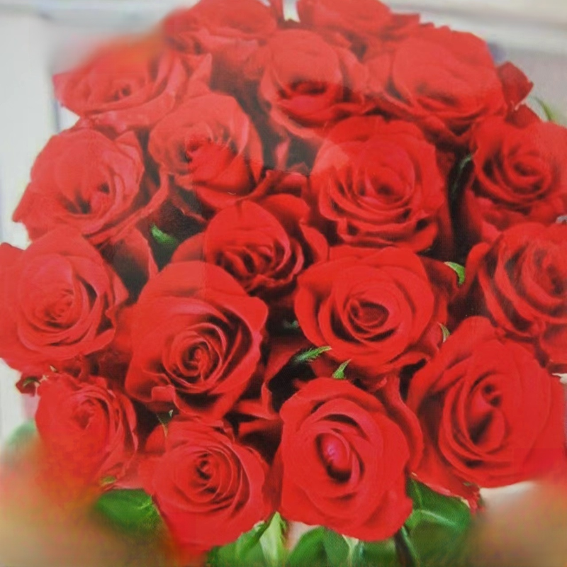 四季の花寄せ植えセット