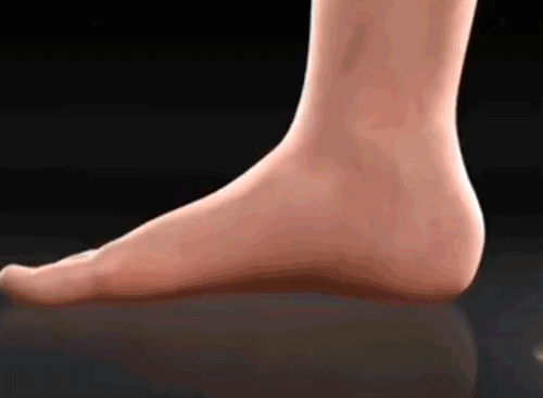 e917fc117684702b5065534195ff33ab.gif