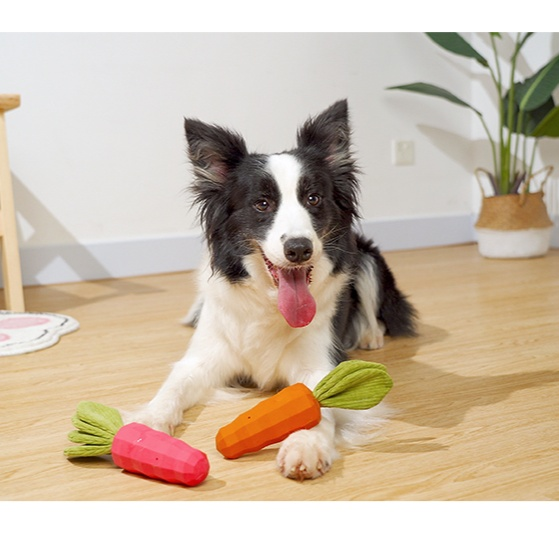 Jouet sonore de carotte