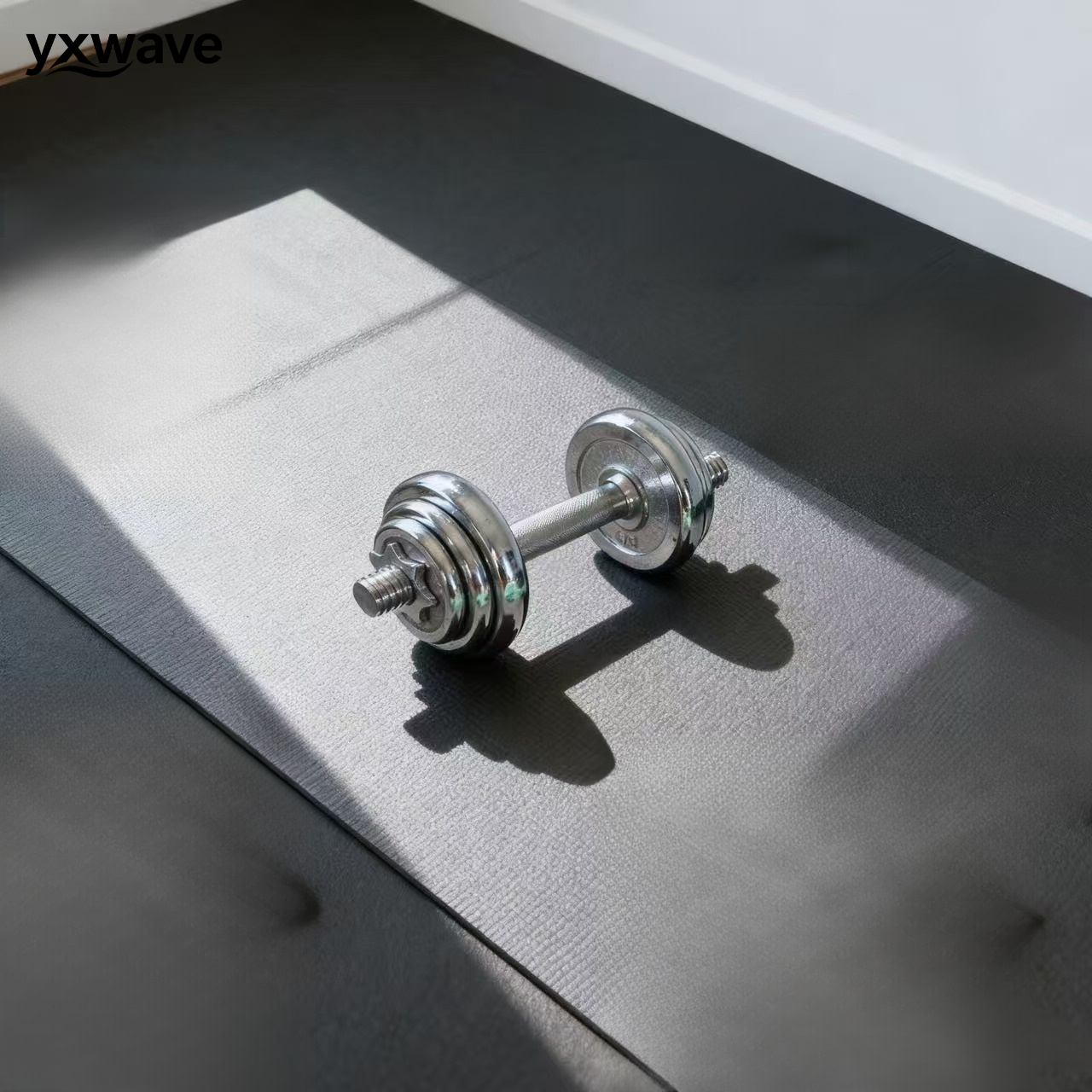 여성용 홈 피트니스 장비 덤벨(3개)