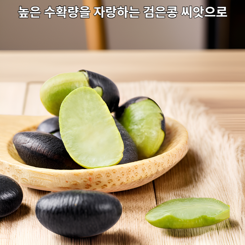 수확량이 많은 검은콩 씨앗