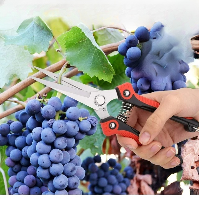 Effort-saving Gardening Pruning Shears