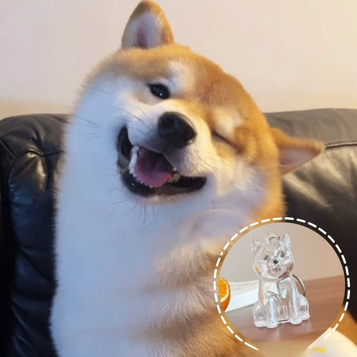 Porte-clés avec pendentif chien, boîte transparente pour poils d'animaux