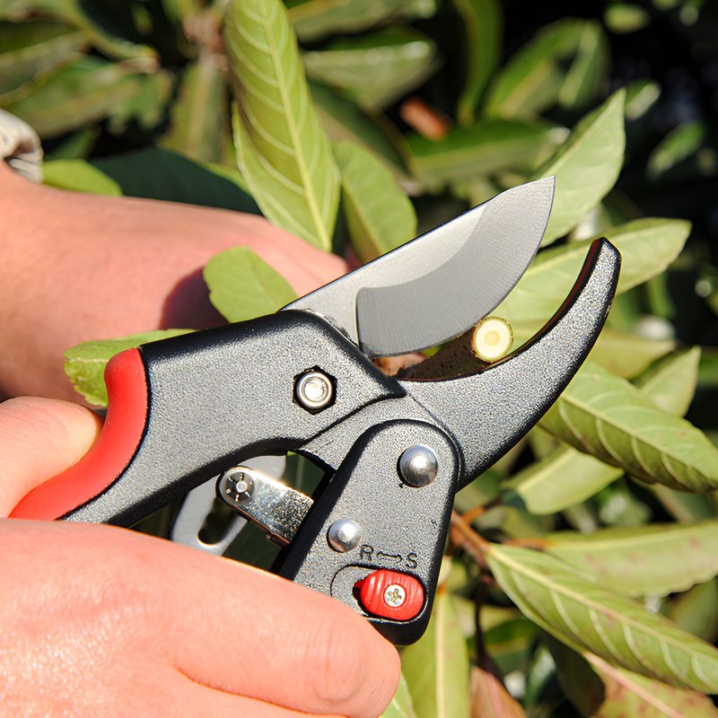 Adjustable, labor-saving pruning shears