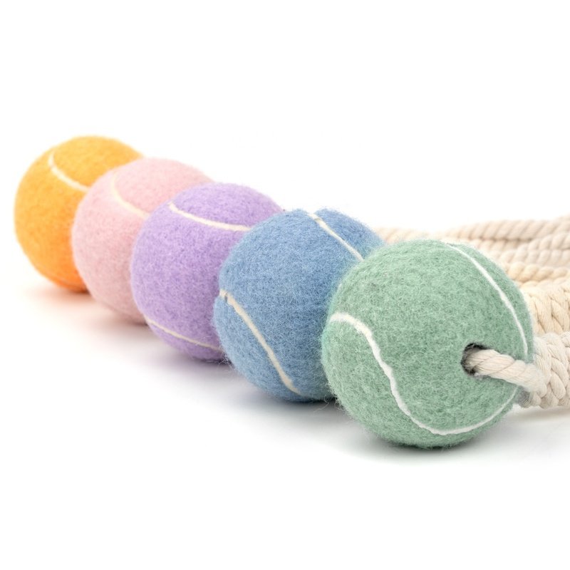 Teeth Cleaning Pet Interactive Tennis