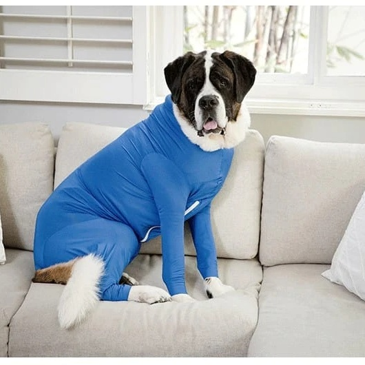冬用防寒オールインワンペットウェア