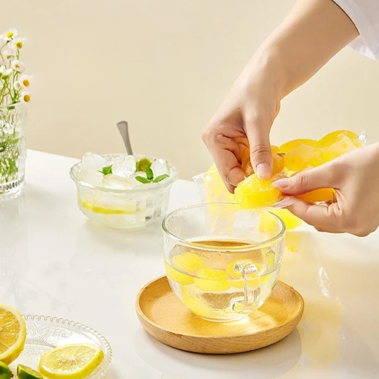 Disposable Household Food-Grade Ice Bag