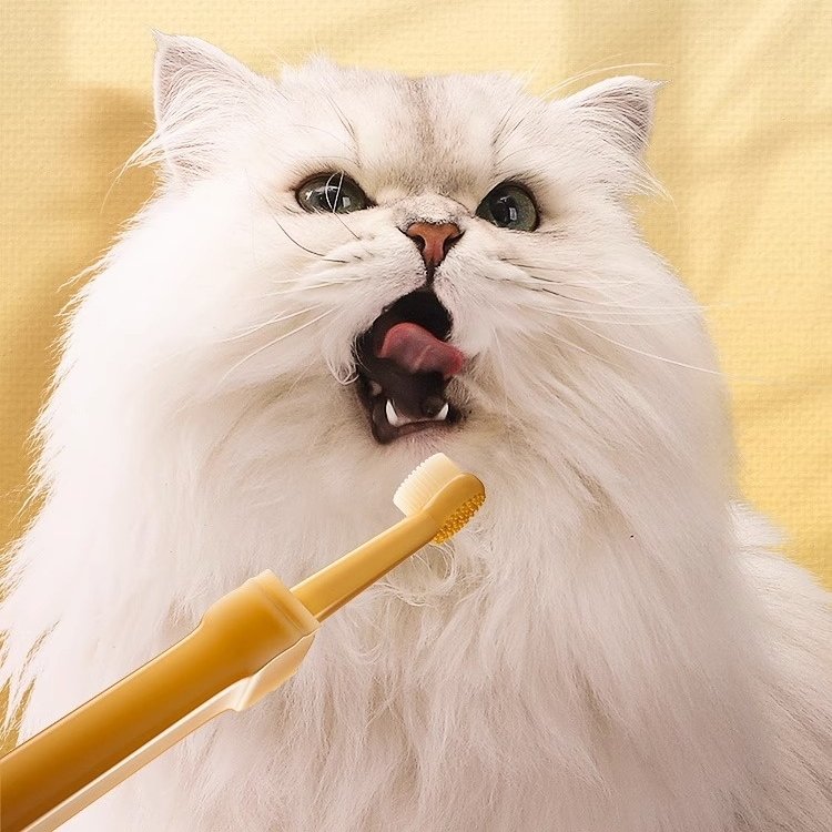 Gentle Silicone Toothbrush for Pets