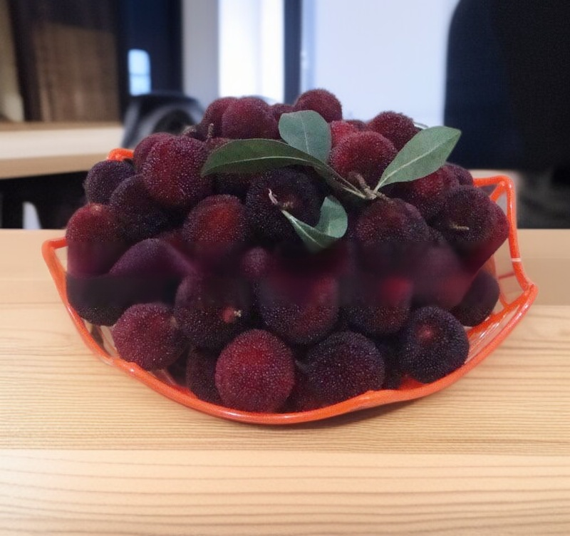 과일을 신선하게 보관하는 거미 과일 그릇