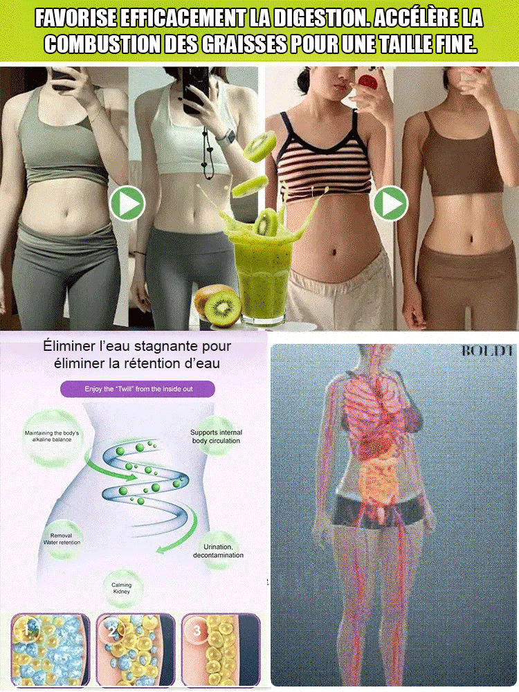 【Augmenter la puissance masculine】Plantules de kiwi biologique de Nouvelle-Zélande