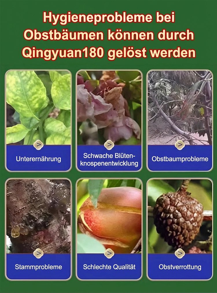 翻译_03.jpg