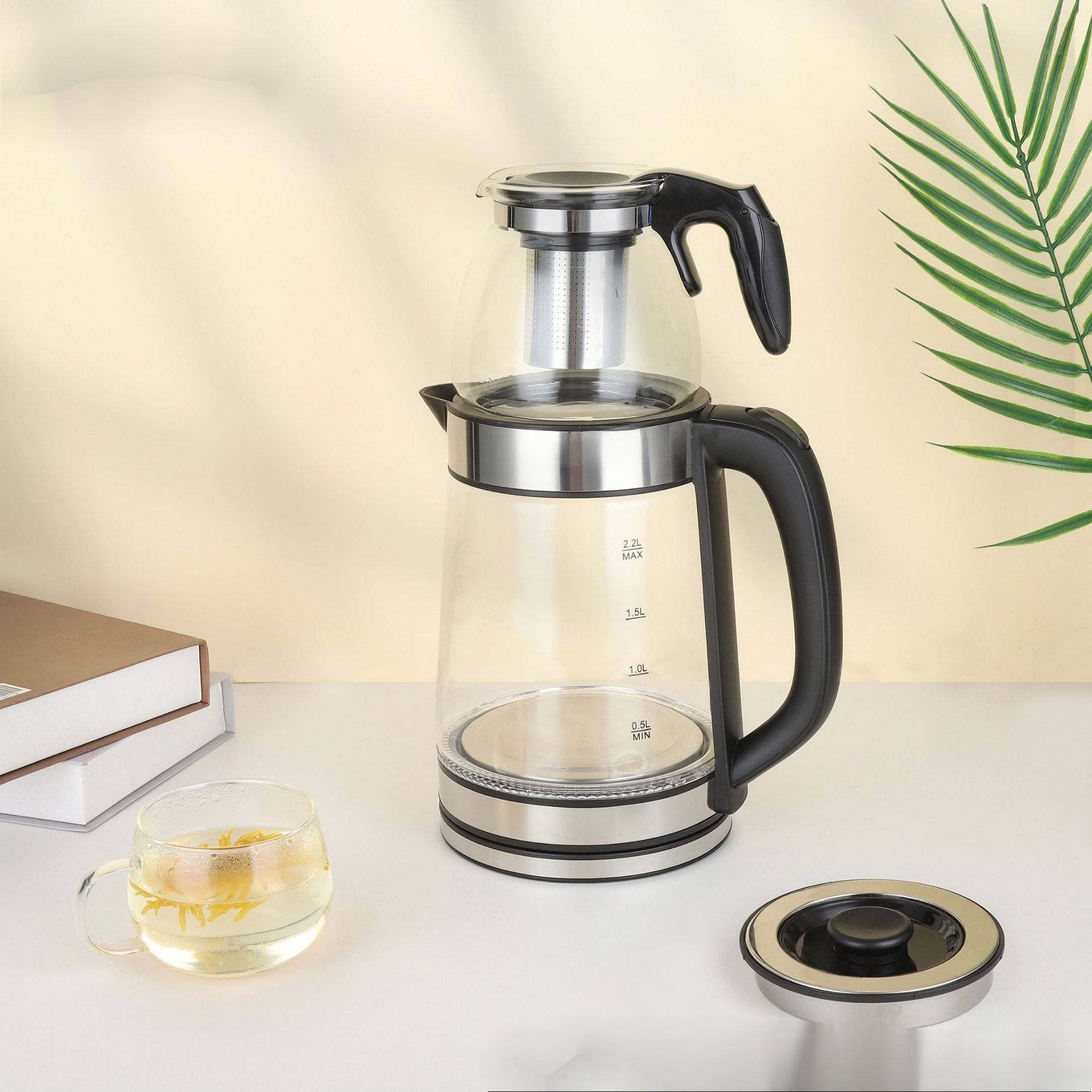 Temperaturregulierbarer Wasserkocher