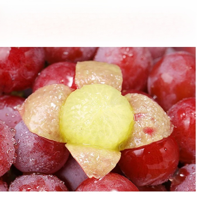 เมล็ดองุ่น