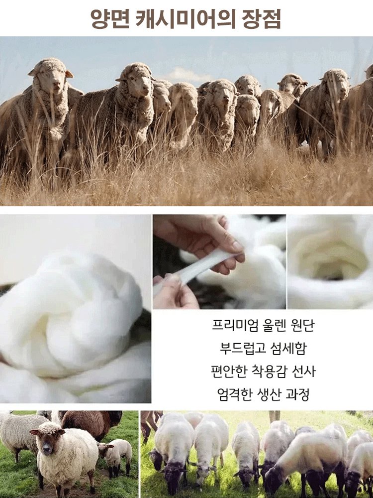 프리미엄  캐시미어 커브드 와이드 팬츠