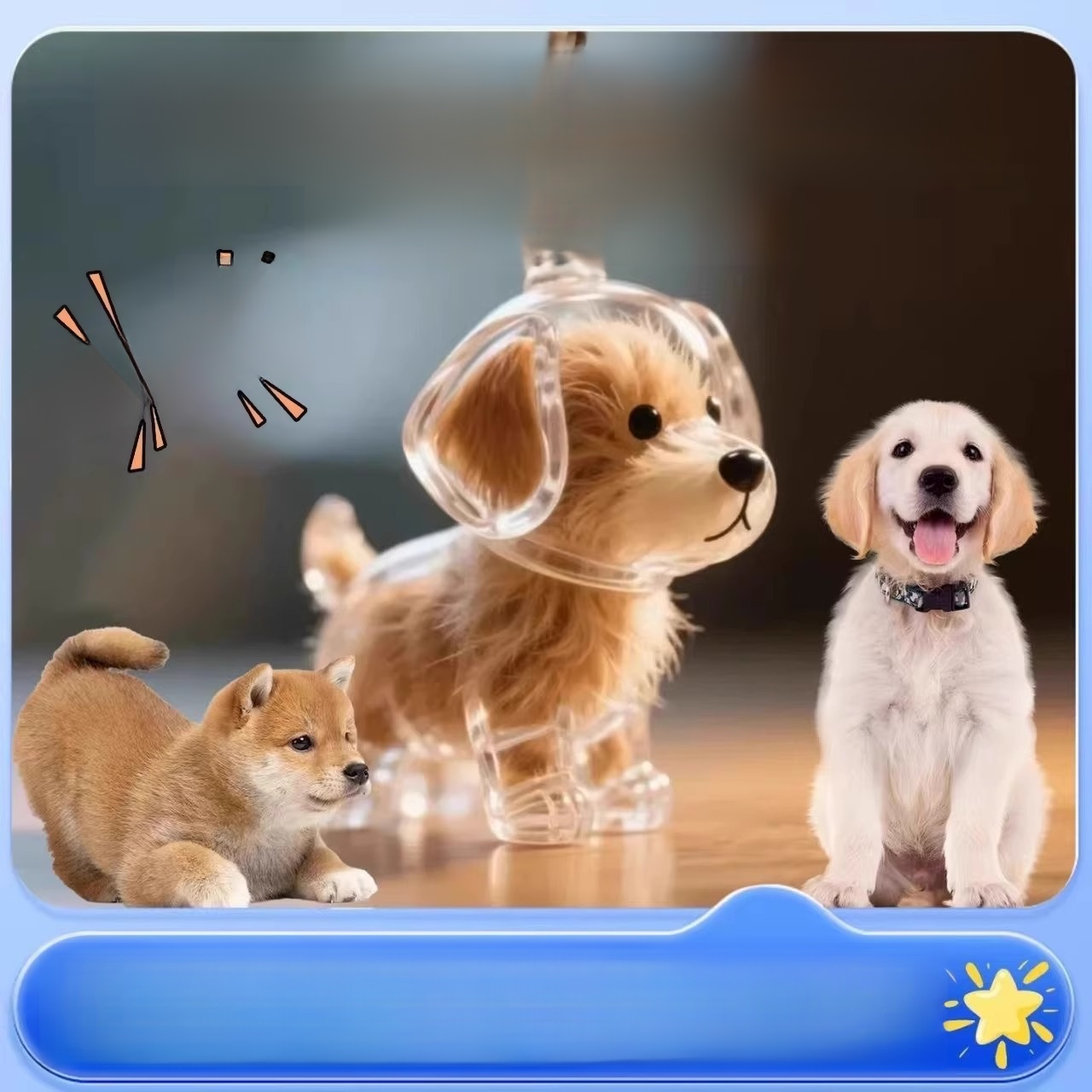 Porte-clés avec pendentif chien, boîte transparente pour poils d'animaux