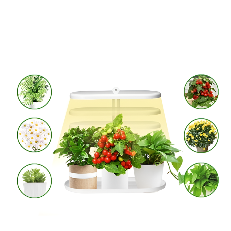 Adjustable Brightness Succulent Grow Light with Timer