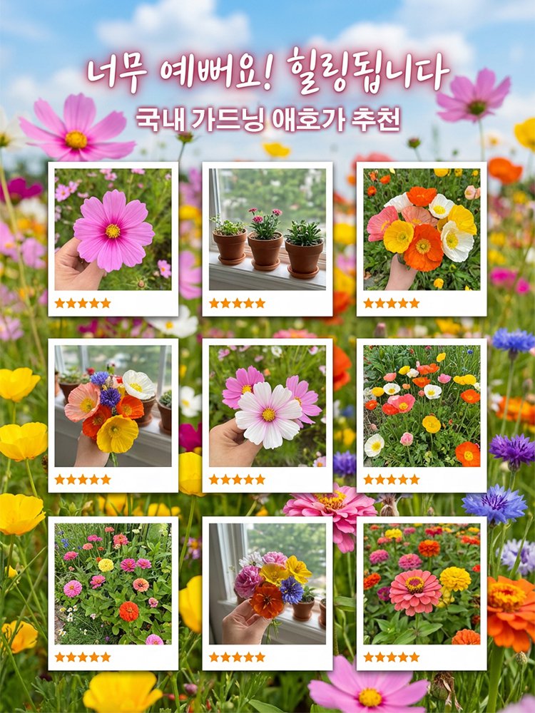 사계절 개화 혼합 색상 꽃씨, 연중 피어나는 꽃, 시들지 않아요!