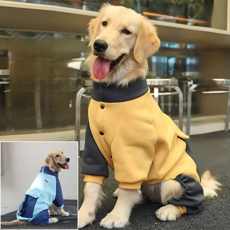 秋冬ペットセーター