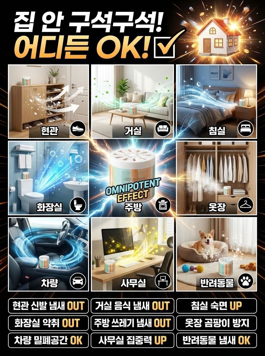 공기 정화제