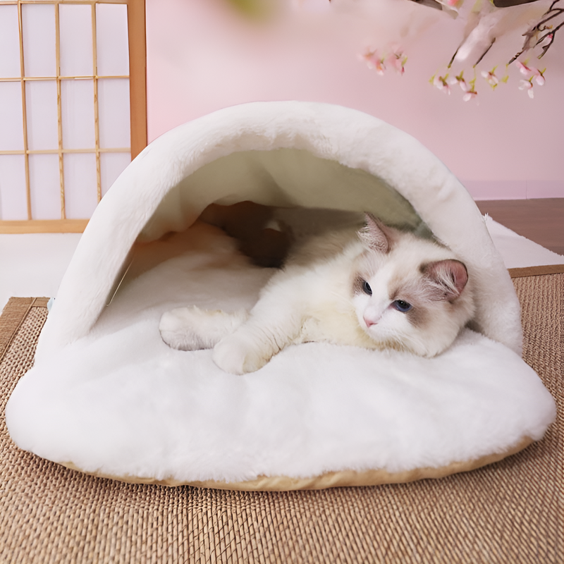  ที่นอนแมวอบอุ่นสำหรับหลายตัวในบ้าน