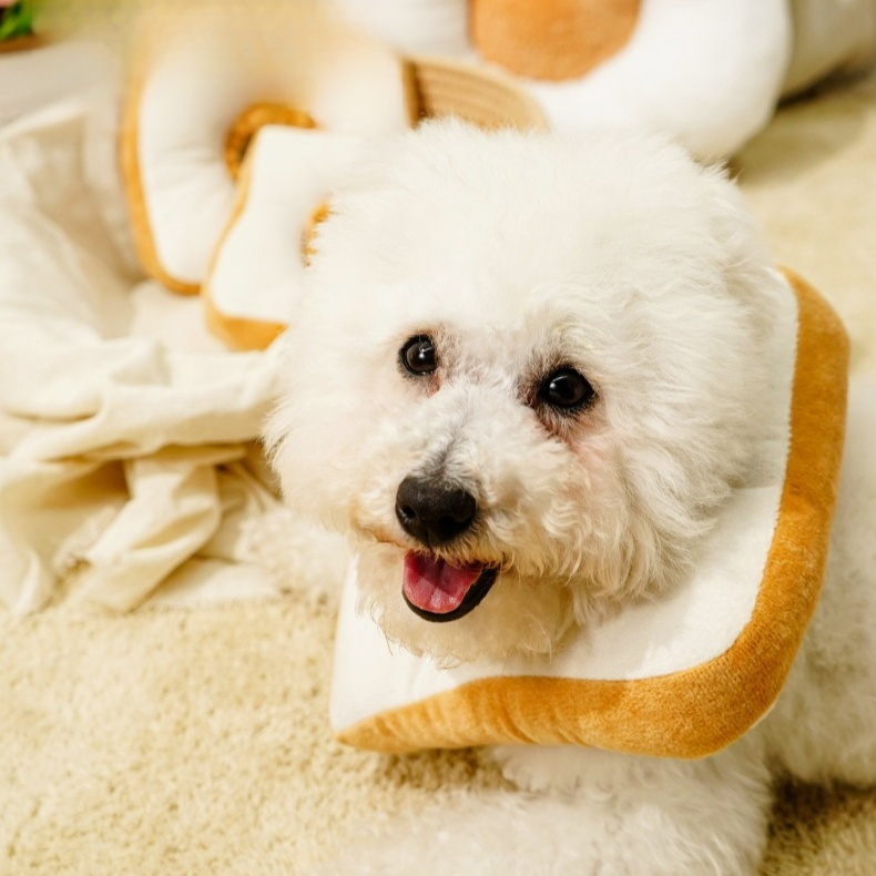 貓狗術後防舔軟脖圈