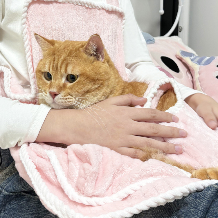 猫用抱っこエプロン 爪とぎ防止・毛が付きにくいストライプペット用エプロン