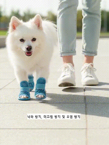 [3초컷] 절대 안 벗겨지는 초경량 강아지 메쉬 샌들 (화상/미끄럼방지)