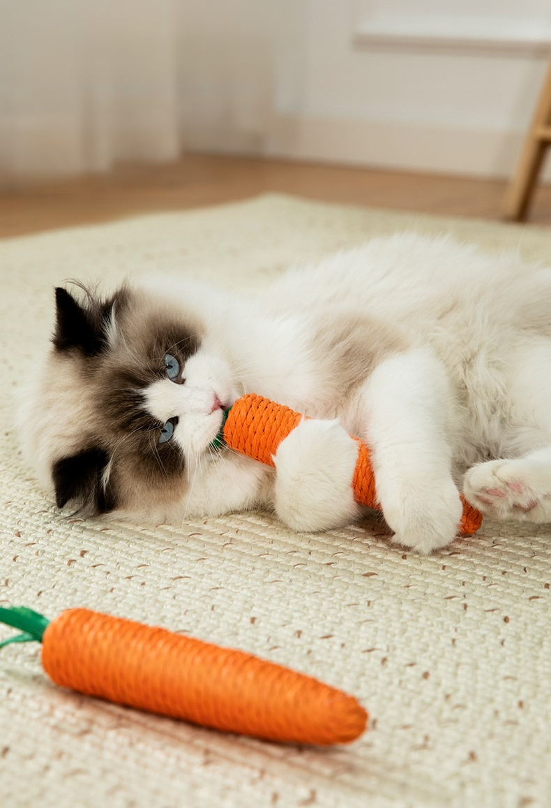 貓咪解悶寵物玩具