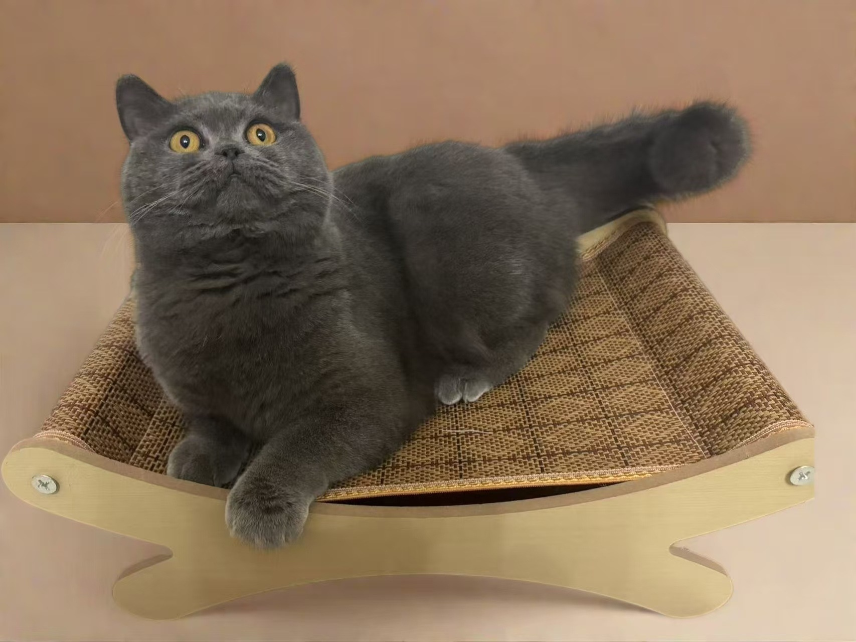 Strapazierfähiges Katzenbett