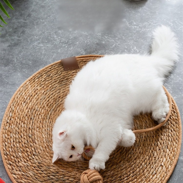貓狗通用耐磨涼席抓板