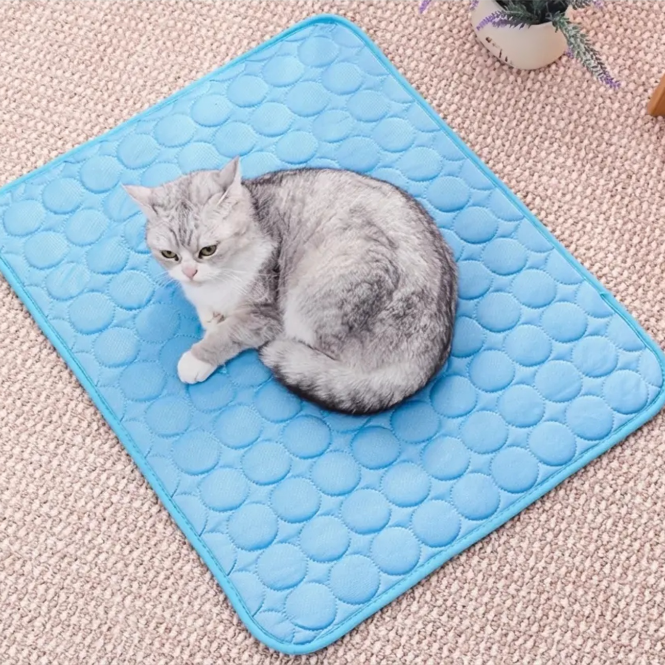 Pet Cooling Sleeping Mat