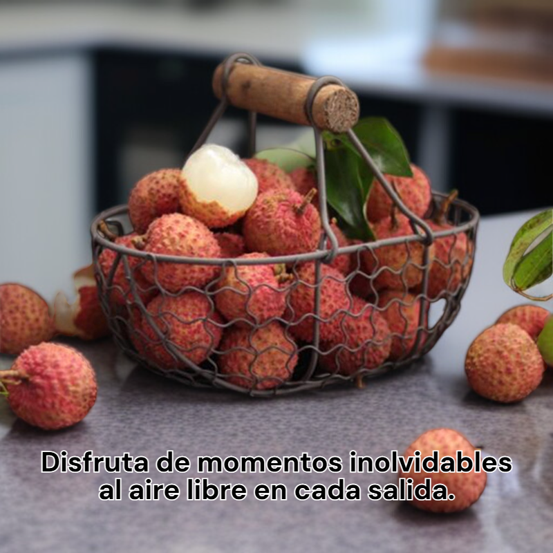 Cesta de picnic