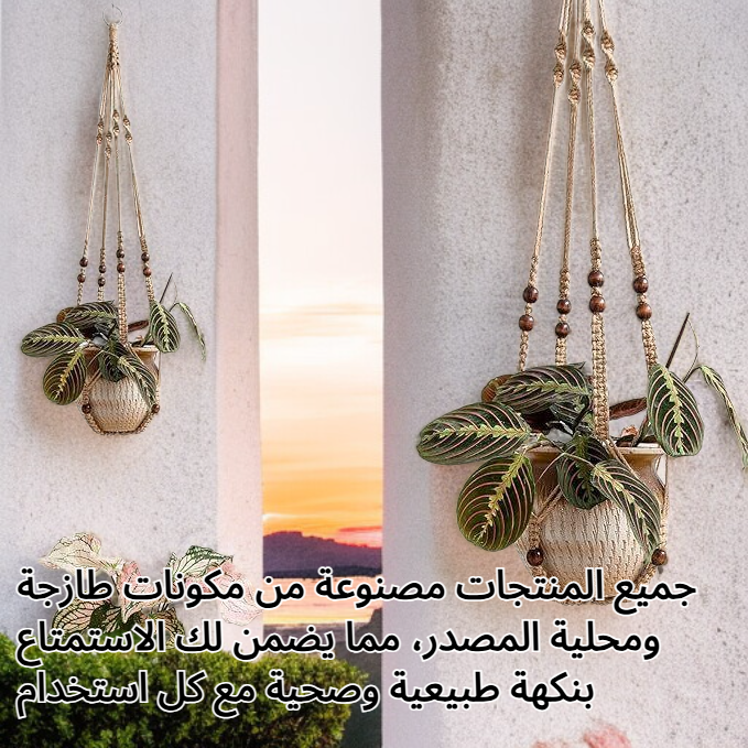 مشروبات كوريا الشمالية الفريدة