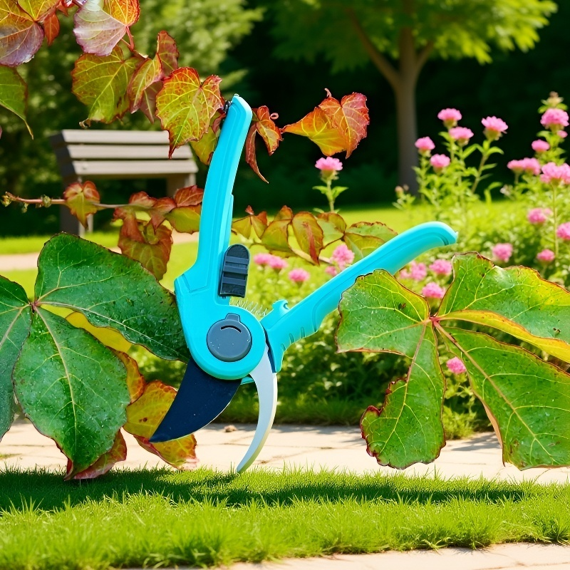 가정용 분재 꽃 가꾸기 세트