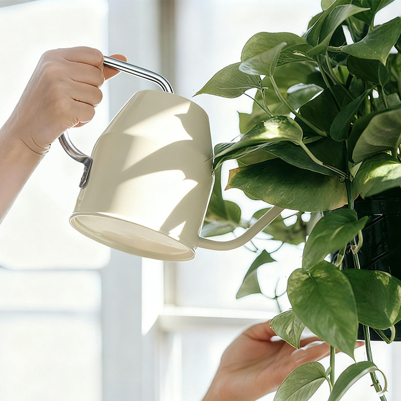 Arrosoir à bec fin , idéal pour les succulentes et les plantes en pot