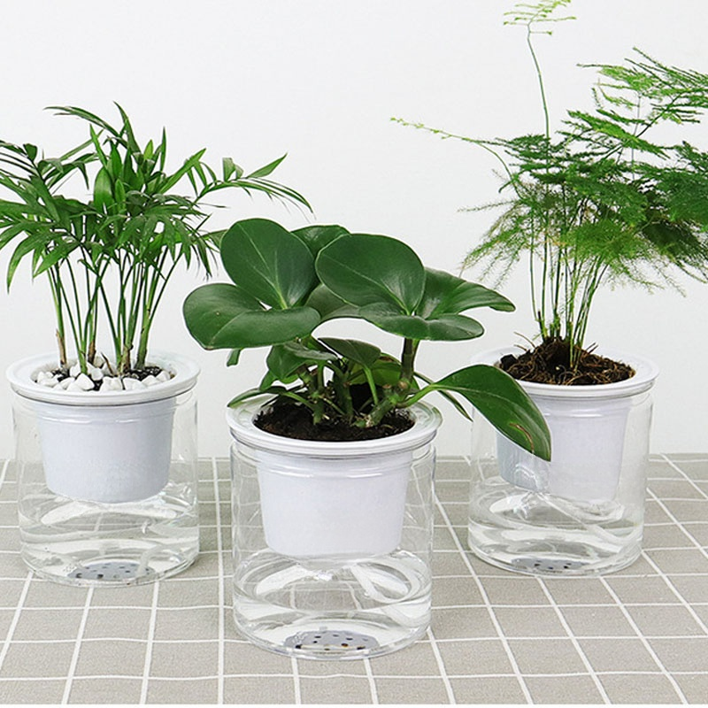 자동 급수 투명 플라워팟