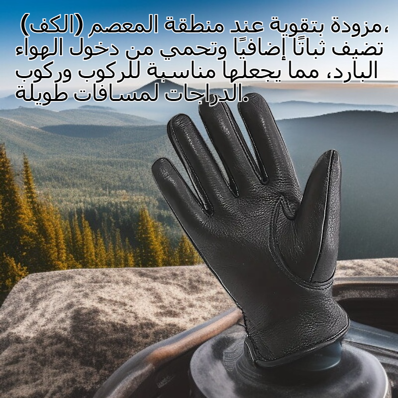 قفازات رجالية مبطنة مقاومة للرياح للأنشطة الخارجية