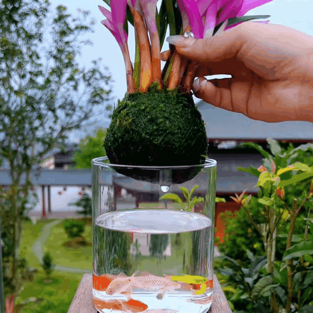 덴드로비움 꽃과 녹색 식물