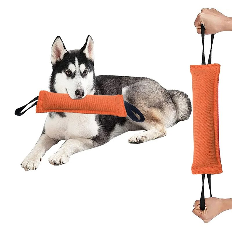 지속 훈련 애완동물 인터랙티브 장난감