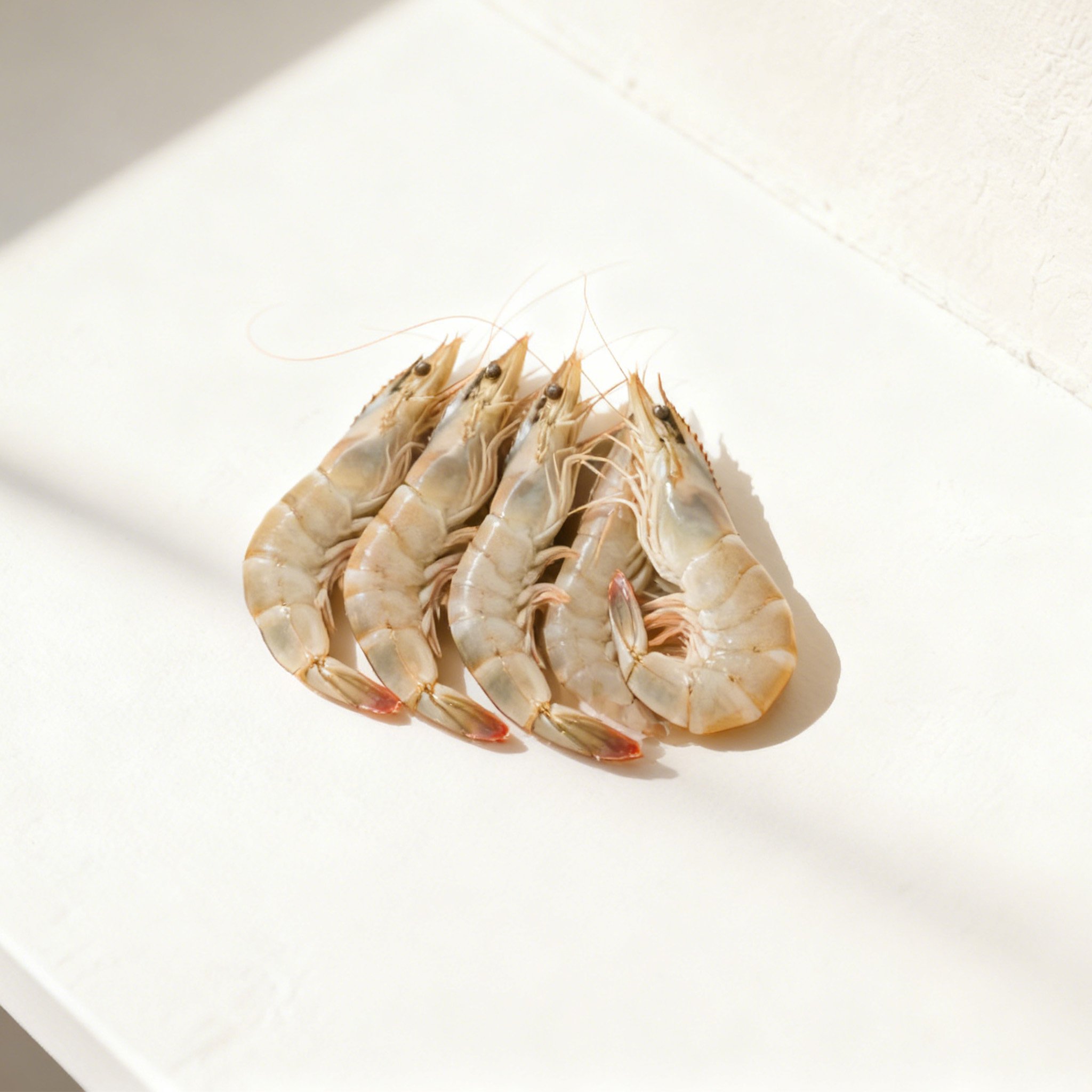 신선한 프리미엄 새우 근접 촬영