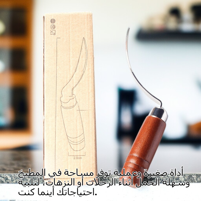 أداة متعددة الوظائف لفتح جوز الهند، أداة مطبخ من الفولاذ المقاوم للصدأ