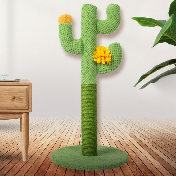 Arbre à chat cactus