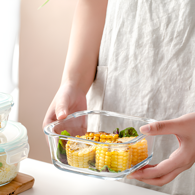 Heat-resistant glass lunch box