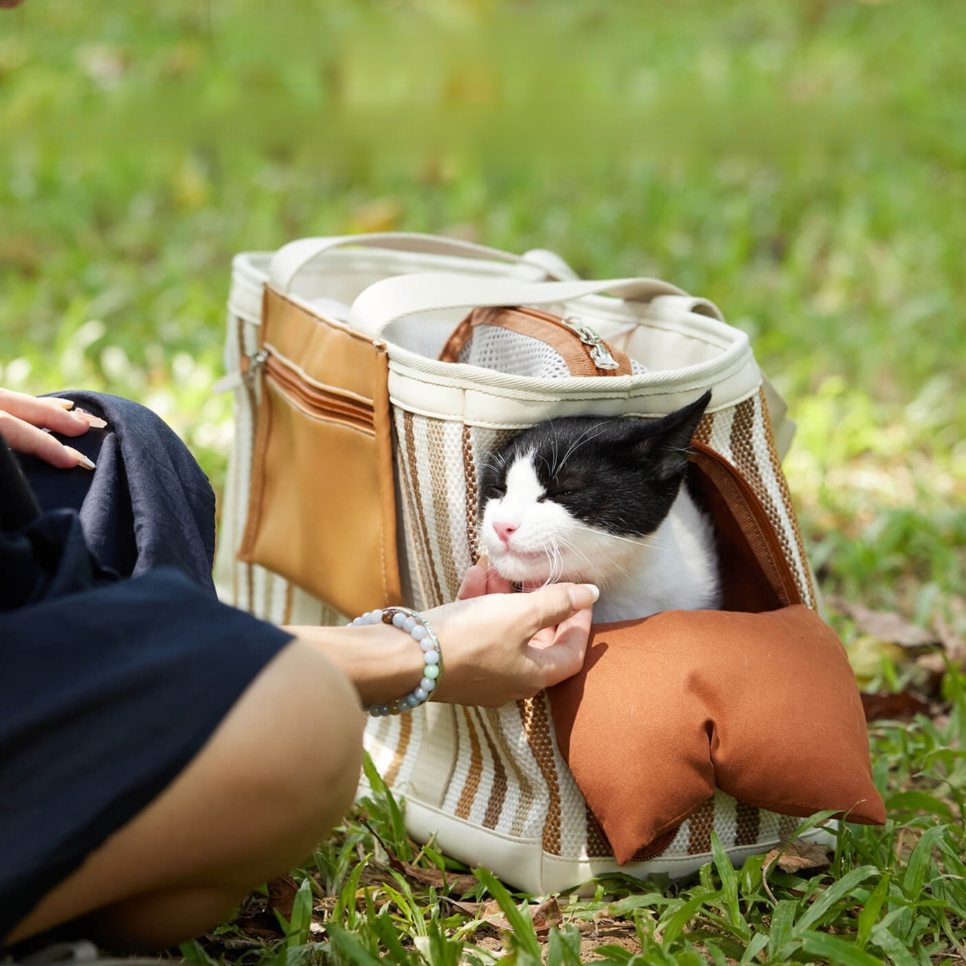 Multifunctional Pet Carrier Bag