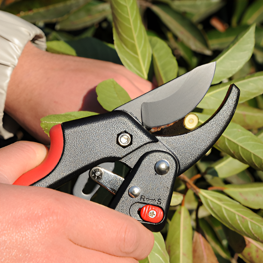 Garten-Pulley-Schere, kraftsparend und verstellbar