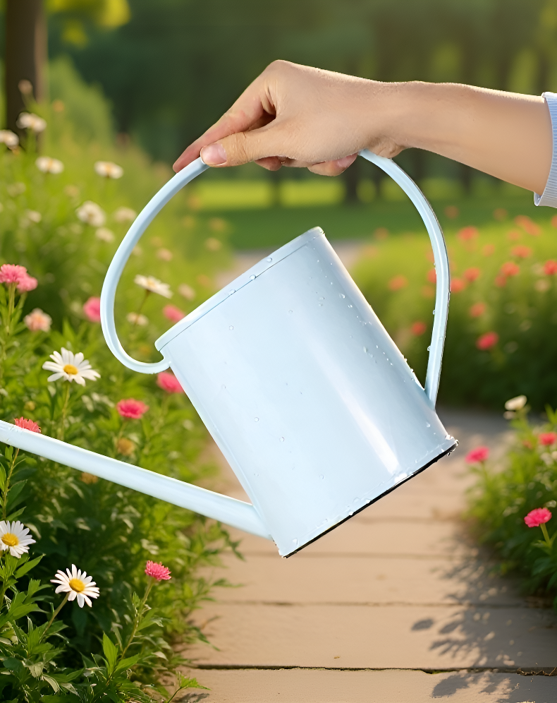 室内植物に最適な長い注ぎ口のじょうろ使用シーン