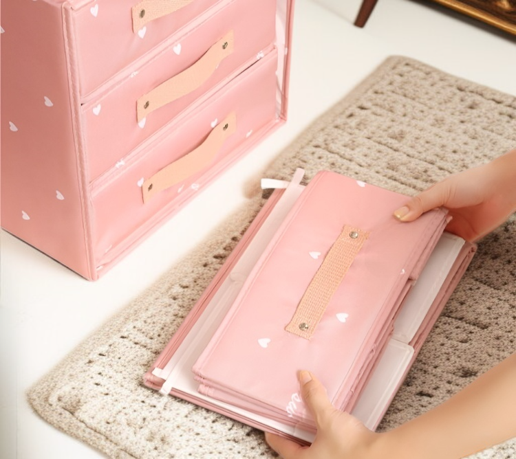 家庭用収納ボックスのクローゼット設置例