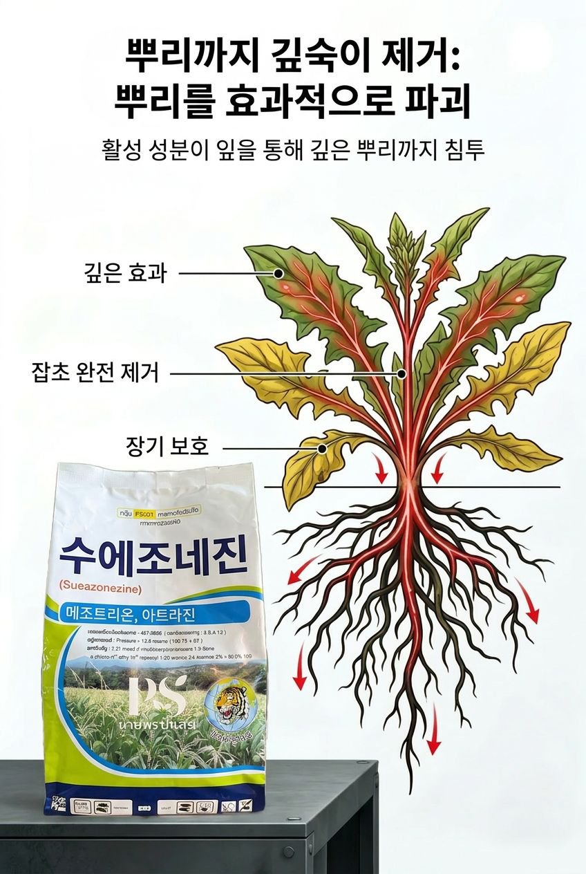 韩国本地化落地页7.jpg